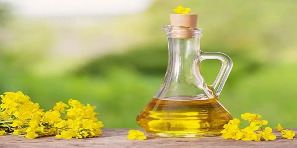 تصویر 2 از قیمت روغن هسته خرما اصل + فروش ویژه